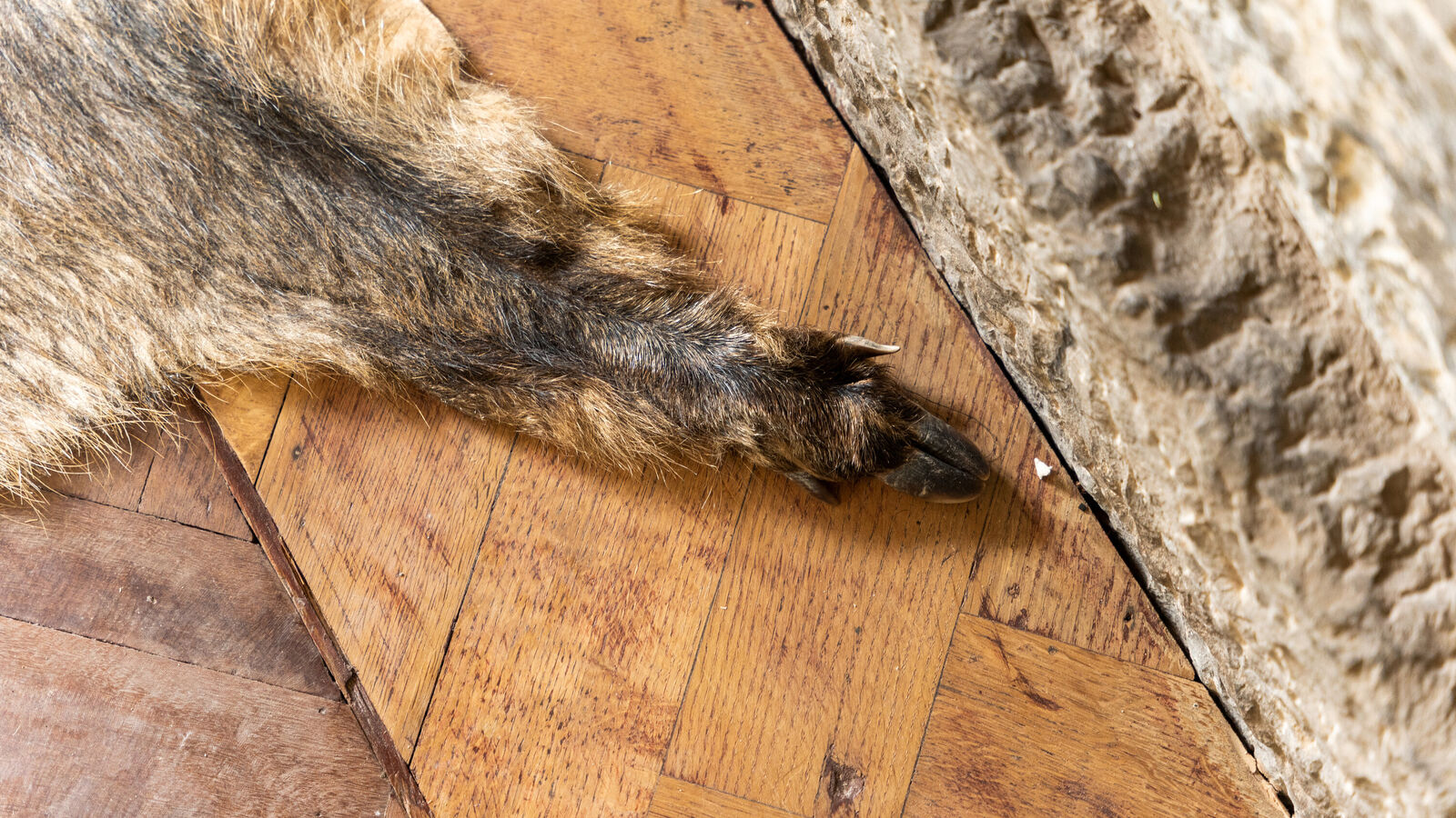 Villa 3 bedrooms in De Panne